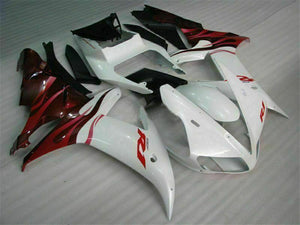NT Europe Injection Mold Kit White ABS Fairing Fit for Yamaha 2002-2003 YZF R1 g009