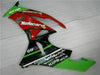 NT Europe Injection Fairing Fit for Kawasaki 2009-2012 ZX6R Plastic