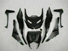NT Europe Injection Fairing Fit for Kawasaki 2009-2012 ZX6R Plastic